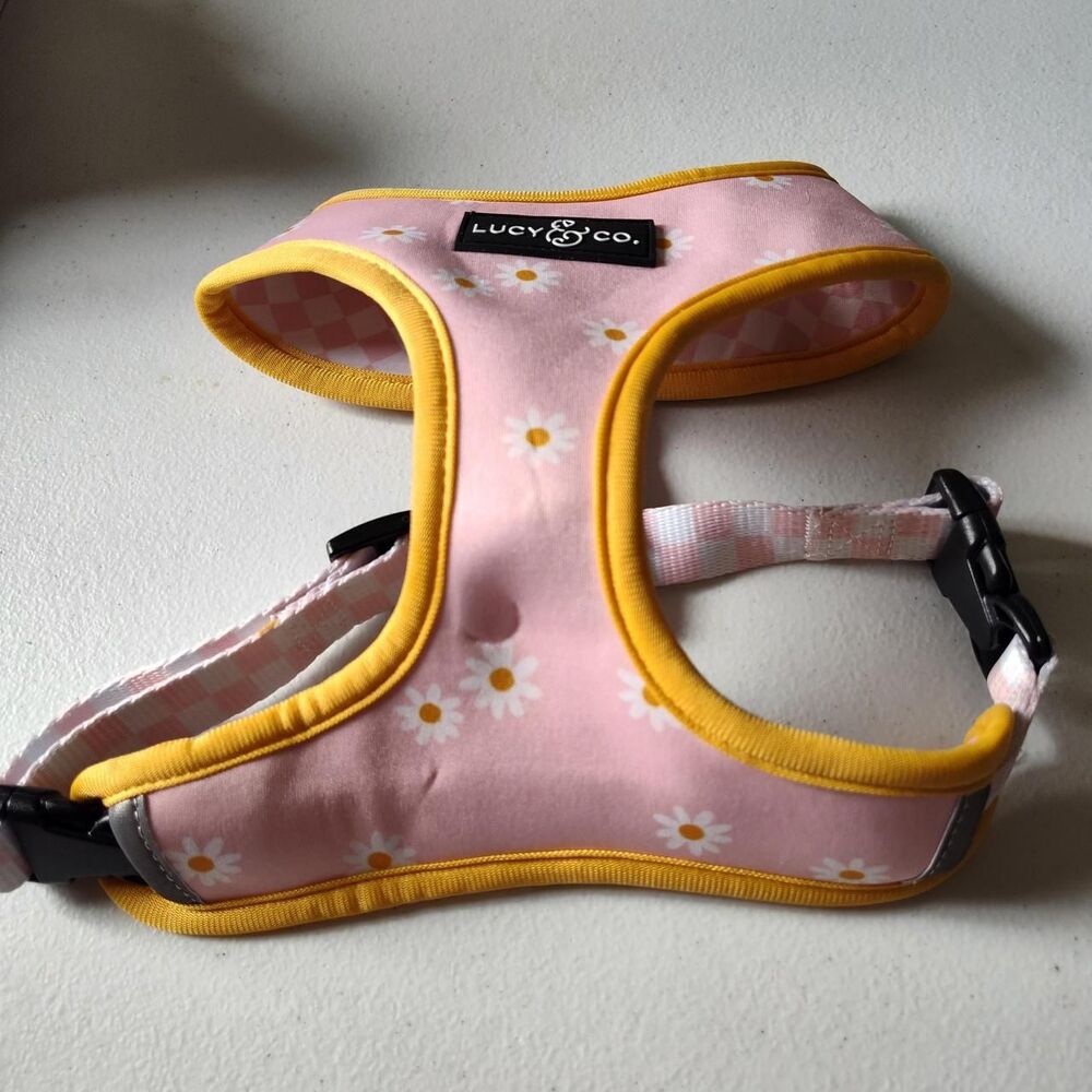 Lucy multi Decor-home-accesories